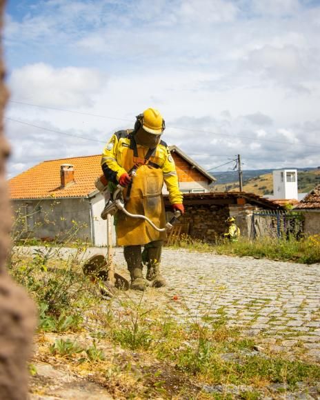 Vale de Madeiro: mais cuidado &mdash; pronto para receber