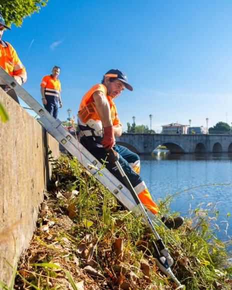 H&aacute; quem cuide de Mirandela&hellip; antes mesmo de Mirandela acordar