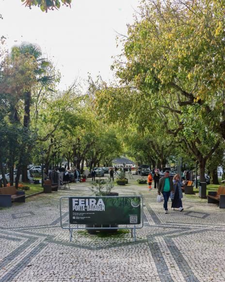 Neste domingo, visite Mirandela!