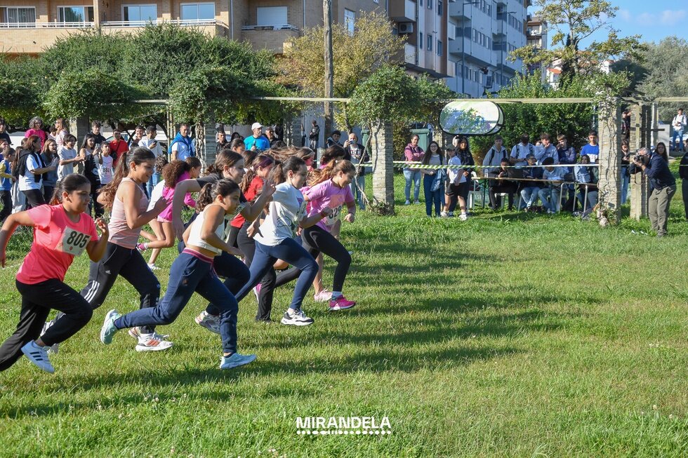 Corta Mato Escolar 2025 | Agrupamento de Escolas de Mirandela