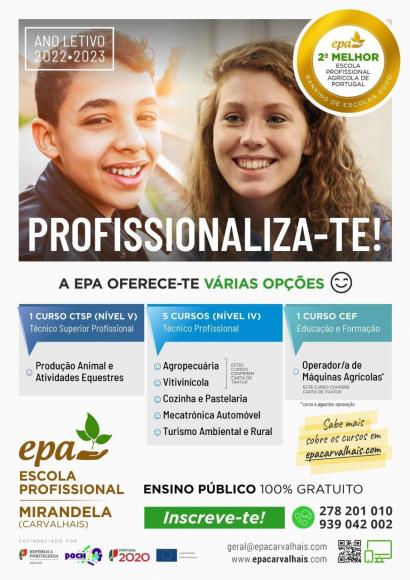 Ensino Profissional