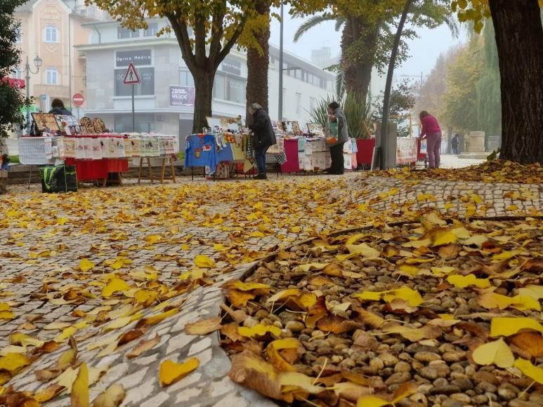 Mercadinhos regressam ao Parque "Entre Pontes"