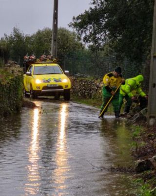 Sapadores da Junta de Freguesia de Mirandela em a&ccedil;&atilde;o no terreno!