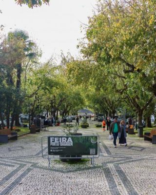Neste domingo, visite Mirandela!