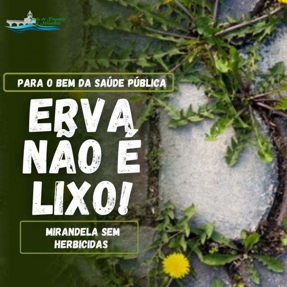 Junta de Freguesia lança Campanha "Erva Não é Lixo"