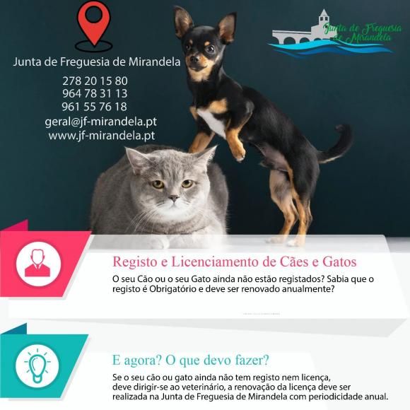 Licenciamento Animal