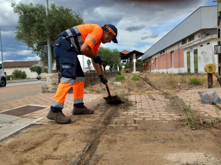 Trabalhos de limpeza | 