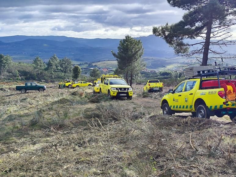 Reflorestação da Serra dos Passos