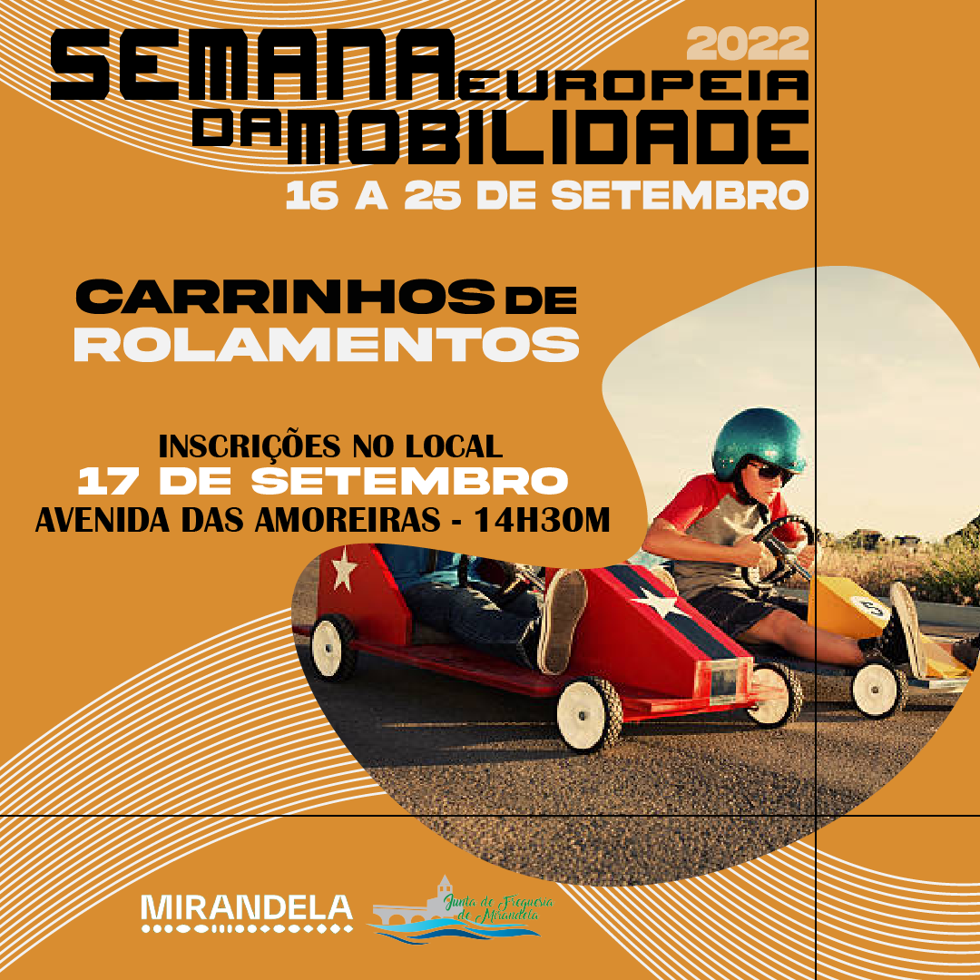 Corrida de Carrinhos de Rolamentos