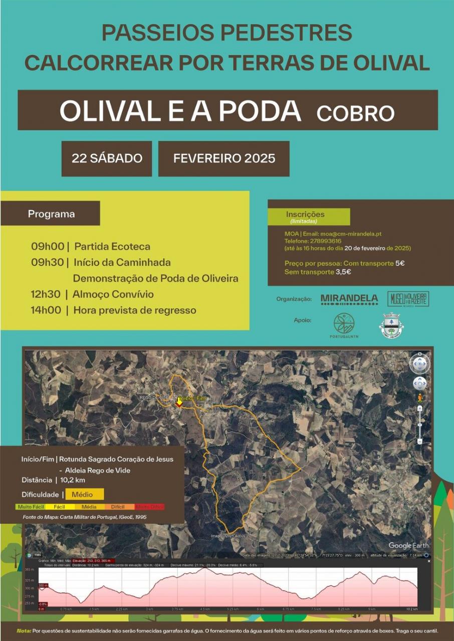 Passeio Pedestre: O Olival e a Poda