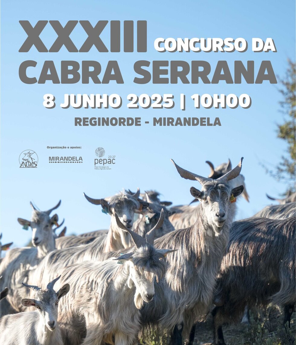 XXXIII Concurso Nacional da Cabra Serrana