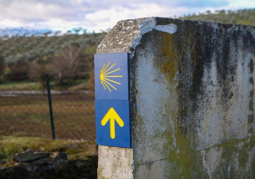 Caminho Este de Santiago - Mirandela