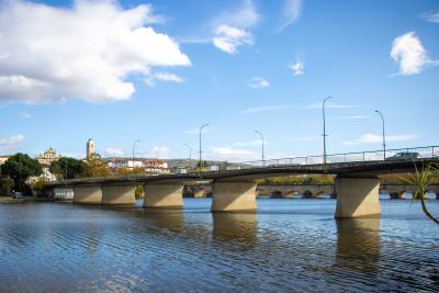 Ponte Eng. José Machado Vaz